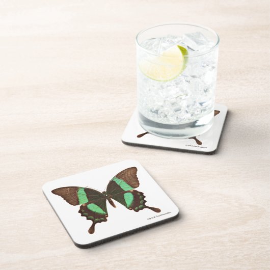 Dessous-de-verre Papillon vert de machaon (Côté Droit)