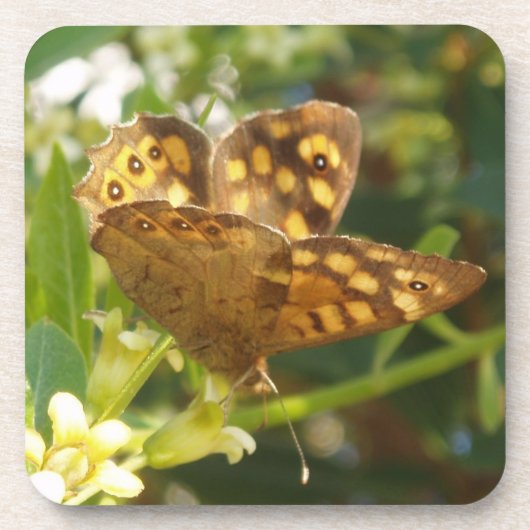 Dessous de verre papillons (Devant)