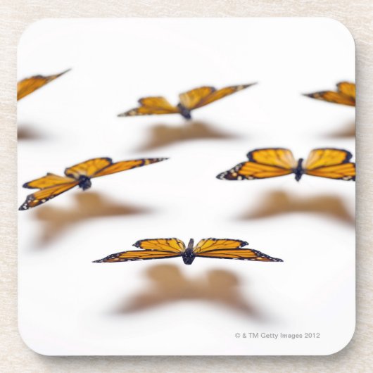 Dessous-de-verre Papillons de monarque (Devant)