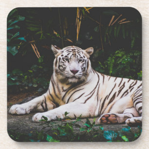 Dessous-de-verre Pâque à boisson tigre