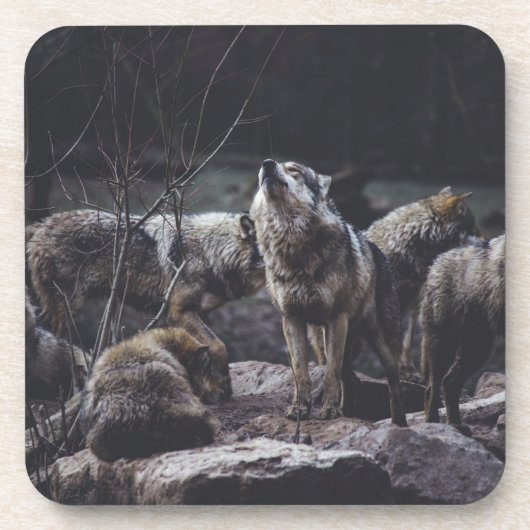 Dessous-de-verre Paquet de boisson Wolf Pack (Devant)