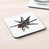 Dessous-de-verre Parasites d'araignée d'animal familier de coark de (Côté gauche)