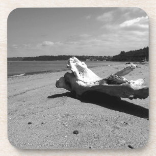 Dessous-de-verre Parc de découverte Driftwood