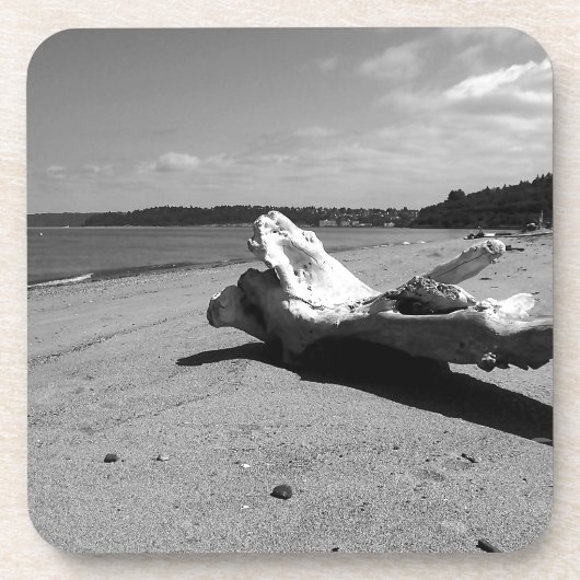 Dessous-de-verre Parc de découverte Driftwood (Devant)