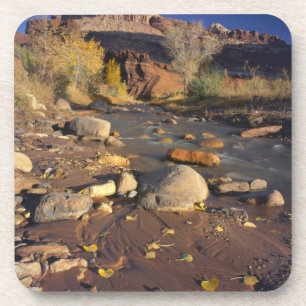 Dessous-de-verre PARC NATIONAL DE CAPITOL REEF, UT, É.-U., Cottonw