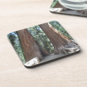 Dessous-de-verre Parc national de Sequoia (Côté gauche)