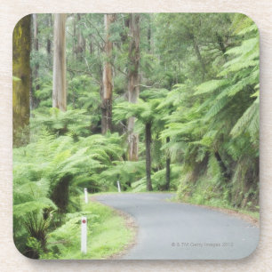 Dessous-de-verre Parc national de Tarra Bulga, chaînes de