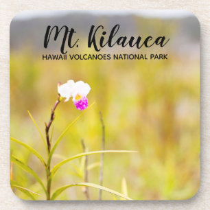 Dessous-de-verre Parc national des volcans du Mont Kilauea Hawaii