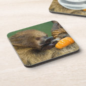 Dessous-de-verre Paresse avec le citrouille (Côté gauche)