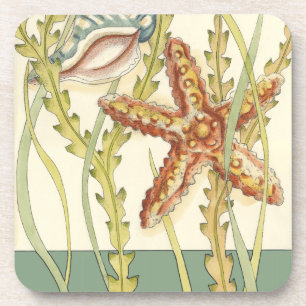 Dessous-de-verre Partie Shell multicolore