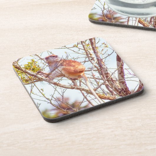 Dessous-de-verre Patas est au sommet d'un arbre (Côté gauche)