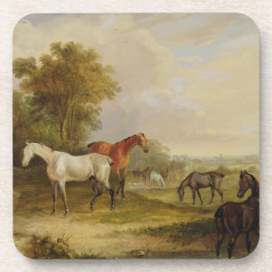 Dessous-de-verre Pâturage de chevaux : Un étalon gris frôlant av