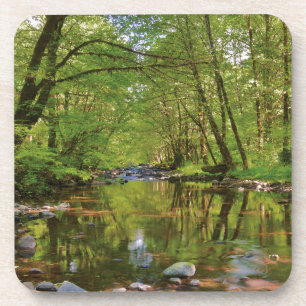 Dessous-de-verre Paysage de la rivière Wilson