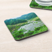 Dessous-de-verre Paysage en terrasse sur le riz, Philippines (Côté gauche)