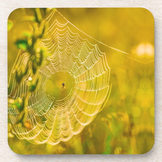 Dessous-de-verre Paysage naturel Spiderweb Spiderweb Soleil (Devant)