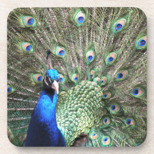 Dessous de verre Peacock