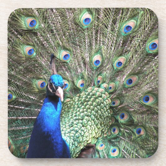 Dessous de verre Peacock (Devant)