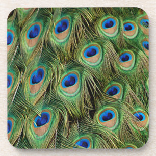 Dessous-de-verre Peacock Coasters