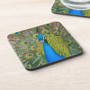 Dessous-de-verre Peacock S9K.jpg
