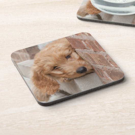 Dessous-de-verre Peecing de Goldendoodle (Côté gauche)