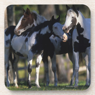 Dessous-de-verre Peignez les chevaux