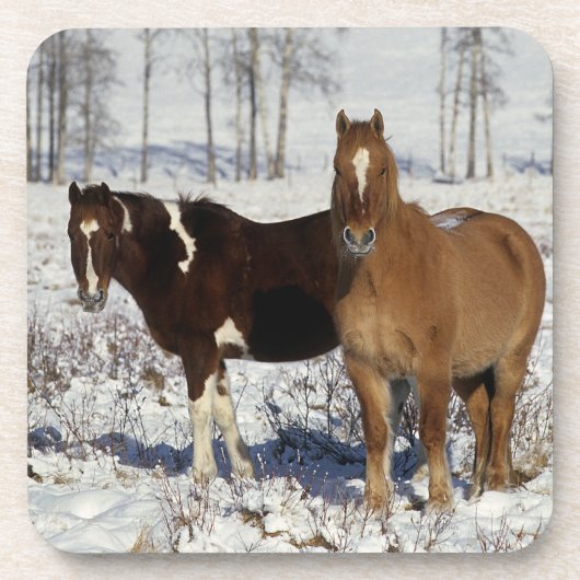 Dessous-de-verre Peignez les chevaux dans la neige (Devant)