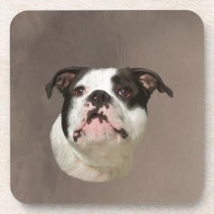 Dessous-de-verre Peinture couleur d'eau Bulldog