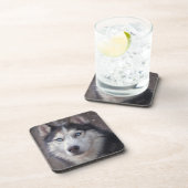 Dessous-de-verre Peinture sibérienne Husky (Côté Droit)