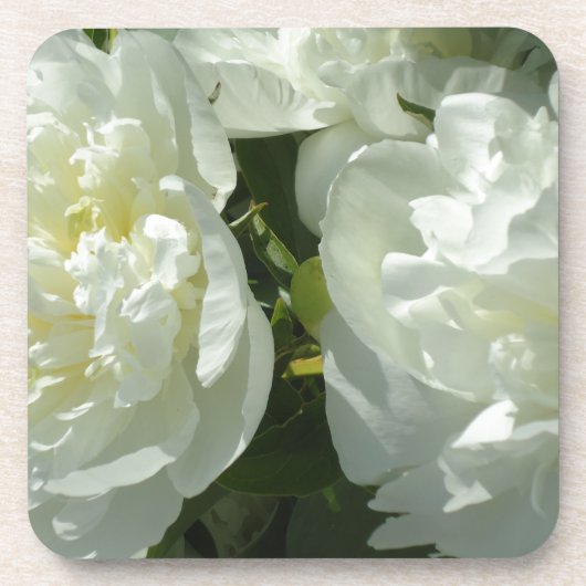 Dessous-de-verre Peonies blanches (Devant)