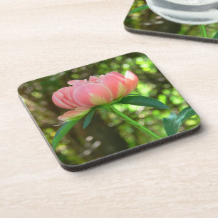 DESSOUS-DE-VERRE "PEONY BÉBÉ-ROSE DOUX ET CRÈME HORS BLANC" CÔTE