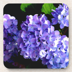 Dessous-de-verre Périwinkel hydrangeas violet bleu fleur floral
