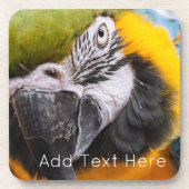 Dessous-de-verre Perroquet vert, bleu et jaune (Devant)