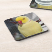 Dessous-de-verre Perruche pelucheuse de Ringneck d'Indien de Lutino (Côté gauche)