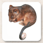 Dessous-de-verre Petit Bébé Singtail Possum (Devant)