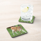 Dessous-de-verre Petit Calf (Côté Droit)