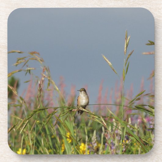 Dessous-de-verre Petit colibri gras (Devant)