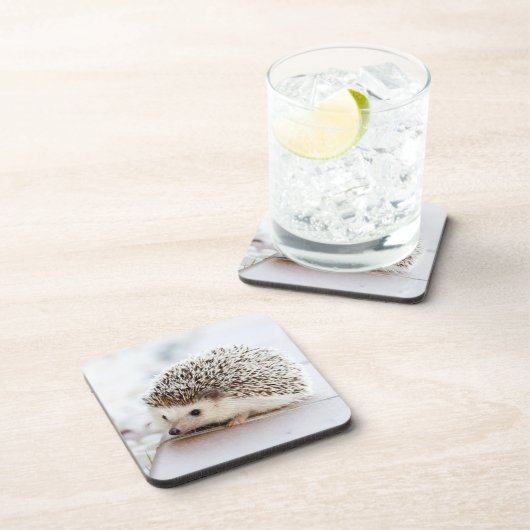 Dessous-de-verre Petit hérisson (Côté Droit)
