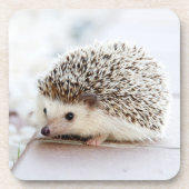 Dessous-de-verre Petit hérisson (Devant)