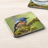 Dessous-de-verre Petit oiseau bleu (Côté gauche)