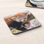Dessous-de-verre Petit panda rouge pâle (Côté gauche)