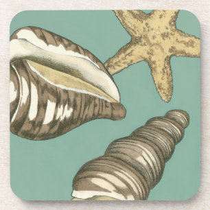 Dessous-de-verre Petit trio de Shell sur Teal