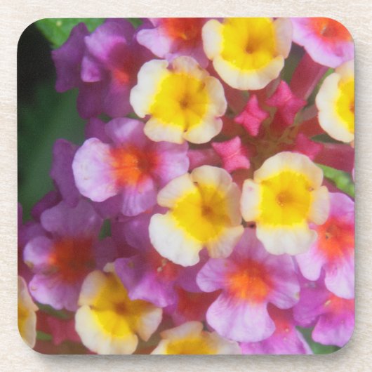 Dessous-de-verre Petites fleurs tropicales roses et violettes jaune (Devant)
