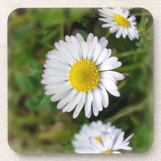 Dessous-de-verre Petites marguerites (Devant)