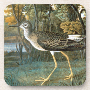 Dessous-de-verre Peu de Yellowlegs