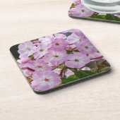 Dessous-de-verre Phlox rose (Côté gauche)