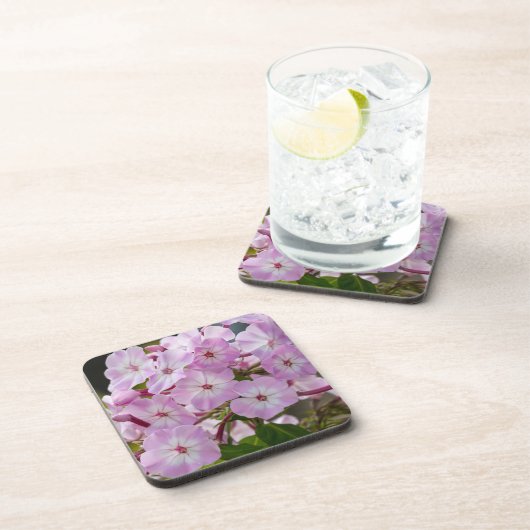 Dessous-de-verre Phlox rose (Côté Droit)