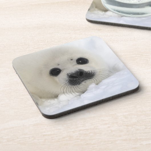 Dessous-de-verre Phoque de harpé de bébé (Côté gauche)