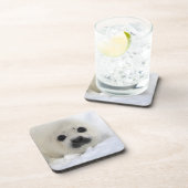 Dessous-de-verre Phoque de harpé de bébé (Côté Droit)