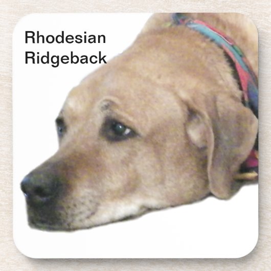 Dessous-de-verre Photo de chien Rhodesian Ridgeback (Devant)