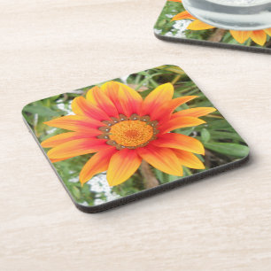 Dessous-de-verre Photo de fleur orange unique